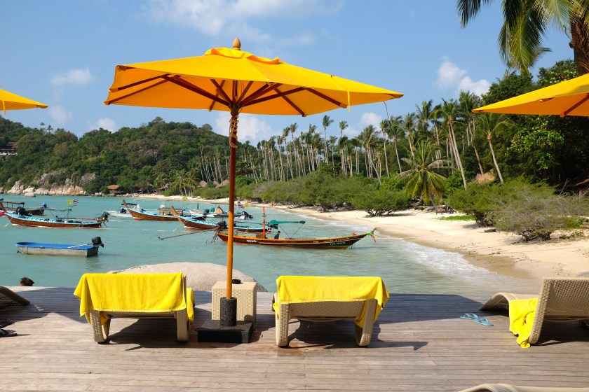 What Should I Do Today?