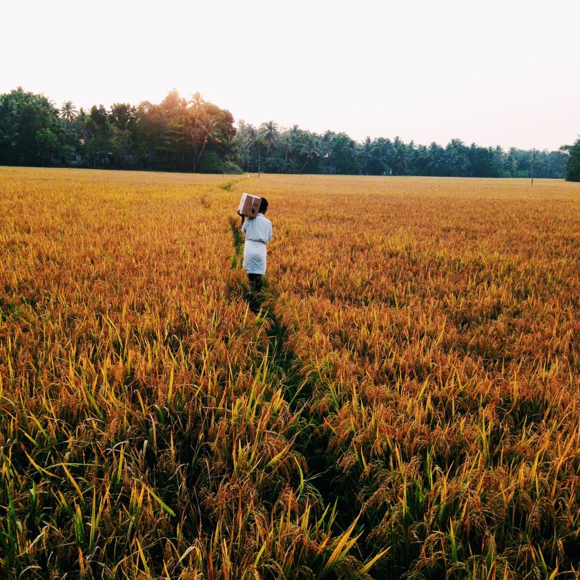 Processed with VSCOcam with c1 preset