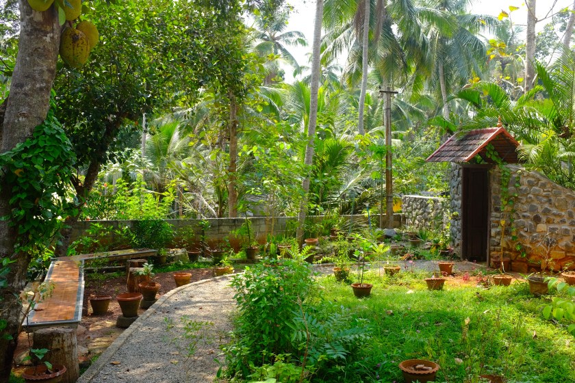 Garden path that leads to the treatment rooms